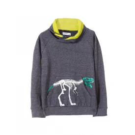 5.10.15 Boys Grey Dino Pullover 640