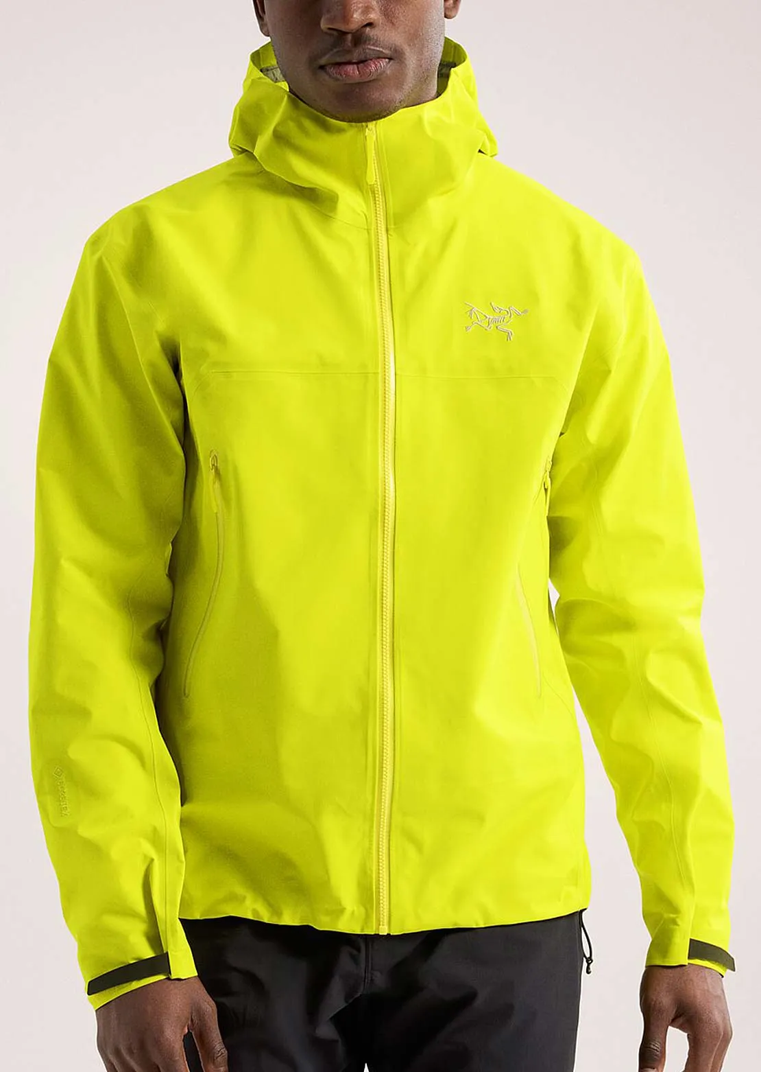 Arc'teryx Men's Beta Jacket